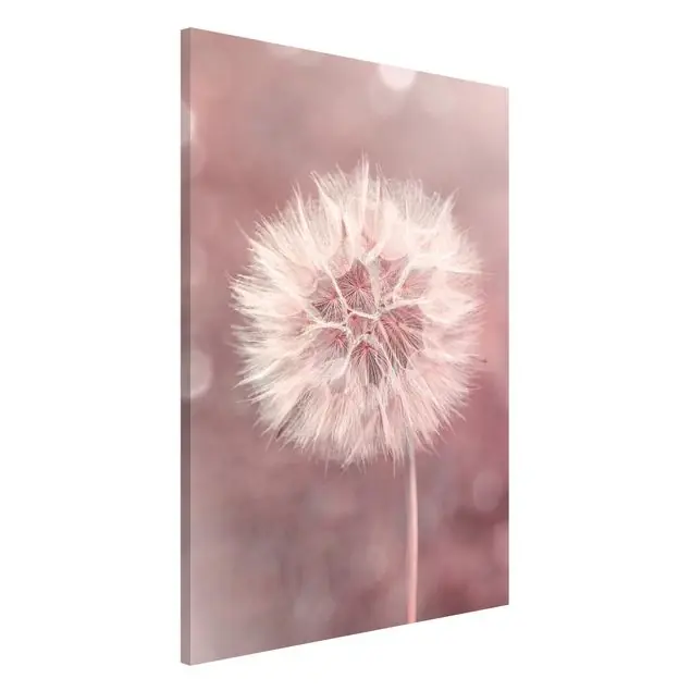 Pusteblume Bokeh rosa Preis Gesenkt