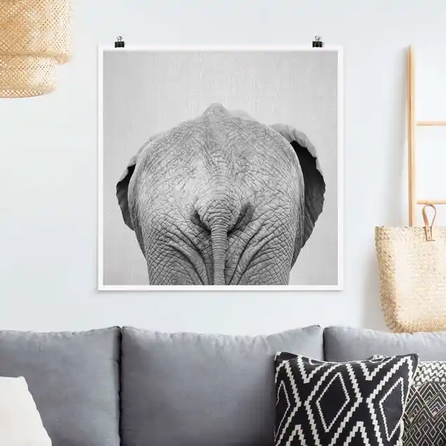 Elefant von hinten Schwarz Weiß Preisknaller