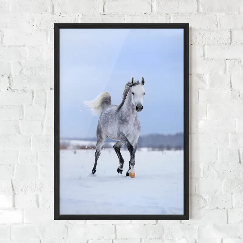 Gerahmte Poster Gray Horse Running Echt