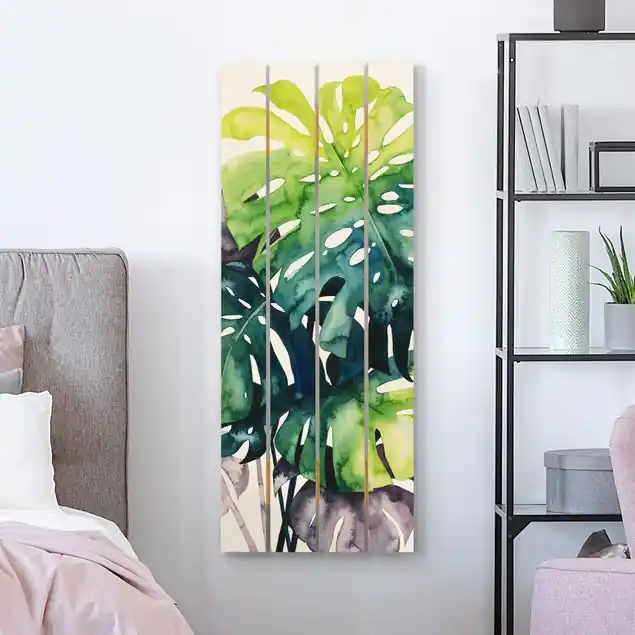 Exotisches Blattwerk - Monstera Preisknaller
