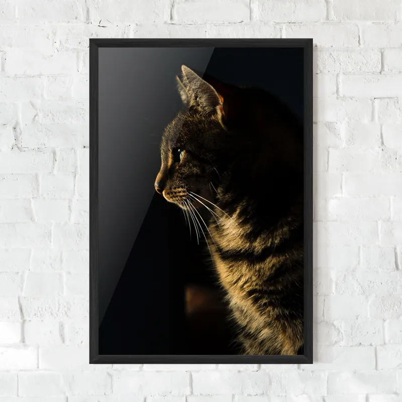 Saisonangebot Gerahmte Poster Hunting Cat