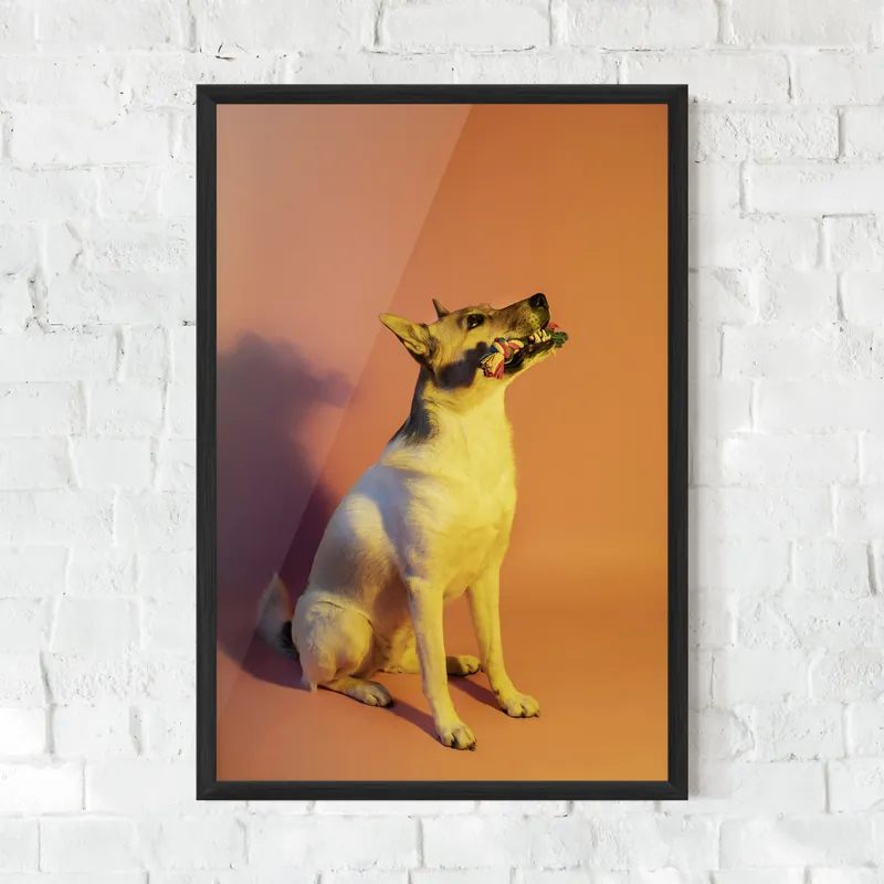Gerahmte Poster Yellow Light Dog Sofort Bestellen