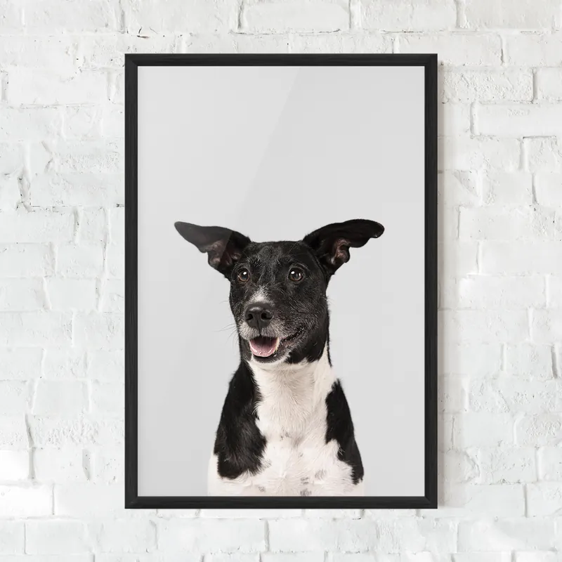 Versand Am Gleichen Tag Gerahmte Poster Big Ears Dog