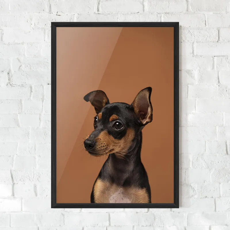 Markenware Gerahmte Poster Small Dog Portrait
