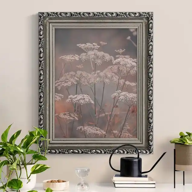 Wilde Doldenblüten Must-Have