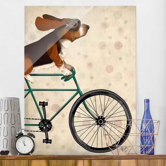 Kostenloser Versand Radtour - Basset auf Fahrrad