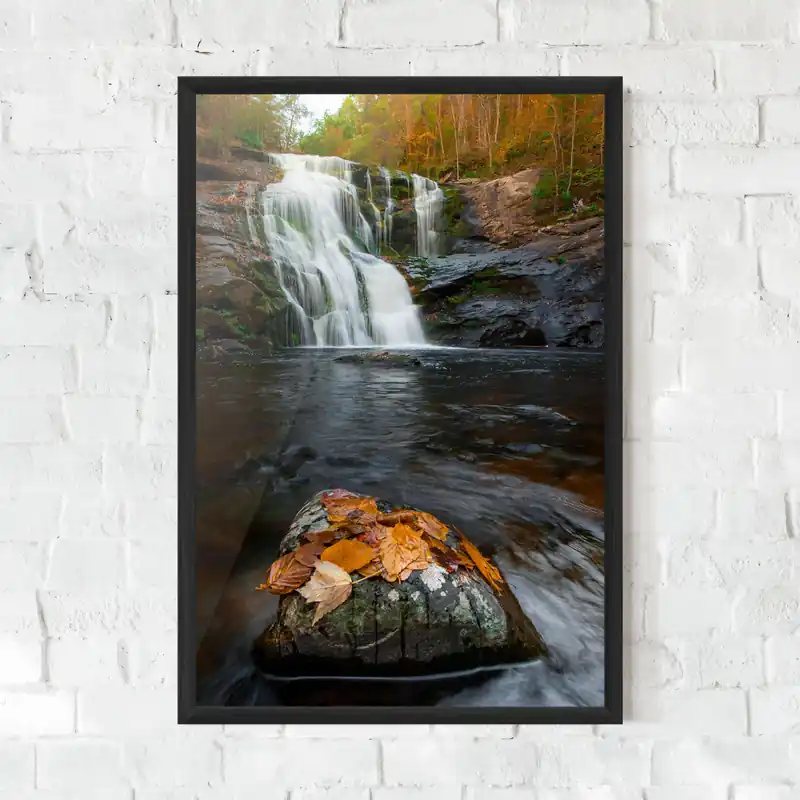 Rabatt Gerahmte Poster Forest Waterfall