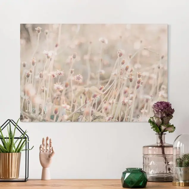 Strahlende Blumenwiese Sofort Bestellen