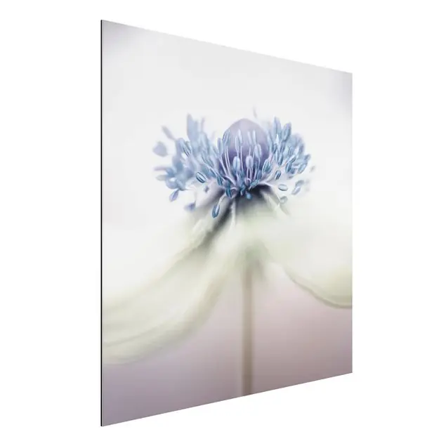 Heißes Angebot Anemone in Violett