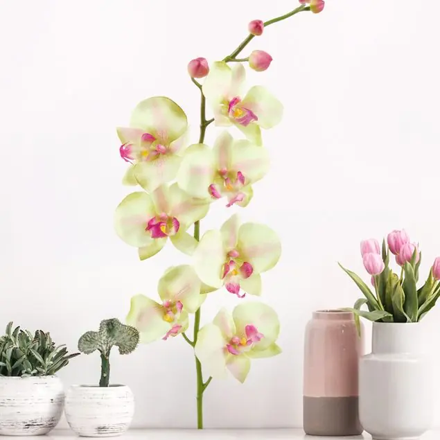 Garantierte Lieferung No.190 Orchidee Weiß II Wandtattoo