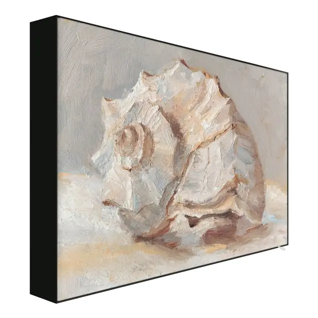 Saisonangebot Muschel-Studie II