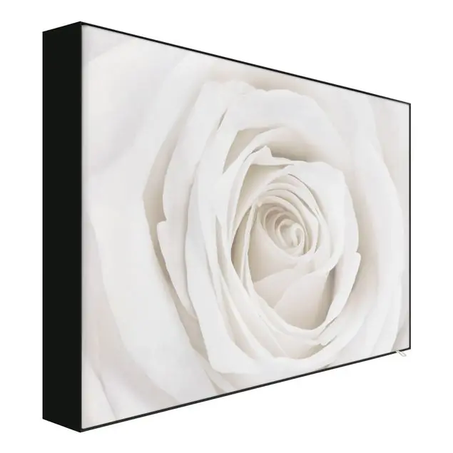 Pretty White Rose Geprüft