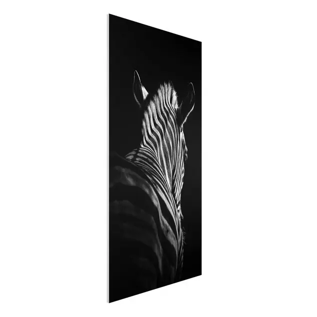 Dunkle Zebra Silhouette Sonderaktion