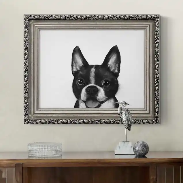 Neuheit Illustration Hund Boston Schwarz Weiß Malerei