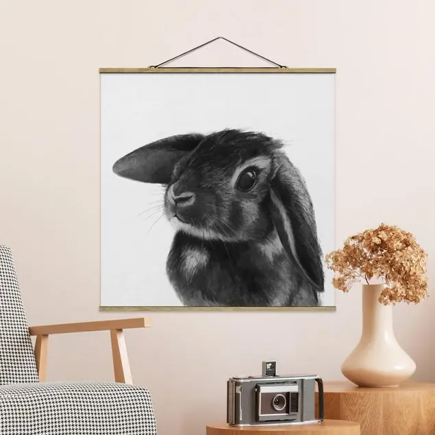 Highlight Illustration Hase Schwarz Weiß Zeichnung