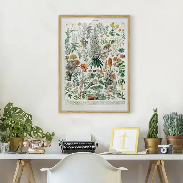 Vintage Lehrtafel Blumen I Expressversand