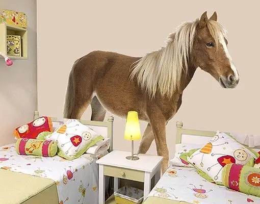 No.136 Pony Wandtattoo Rabatt