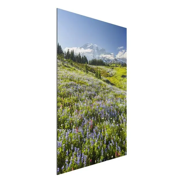Echt Bergwiese mit roten Blumen vor Mt. Rainier