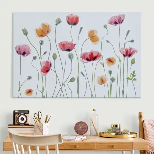 Klatschmohn Party Jetzt Bestellen
