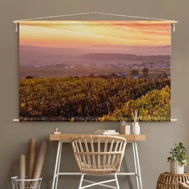 Weinplantage bei Sonnenuntergang Finale Aktion