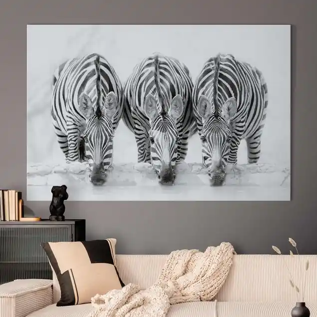 Wochenendangebot Zebra Trio schwarz-weiß