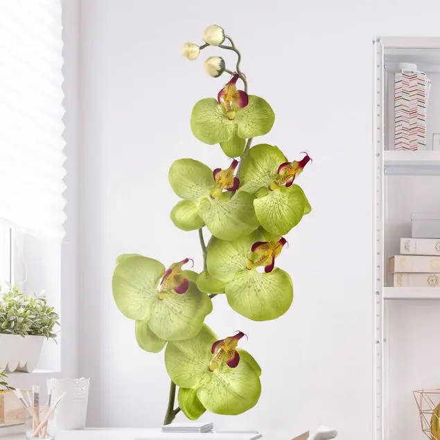 No.174 Orchidee Grün Wandtattoo Super-Preis