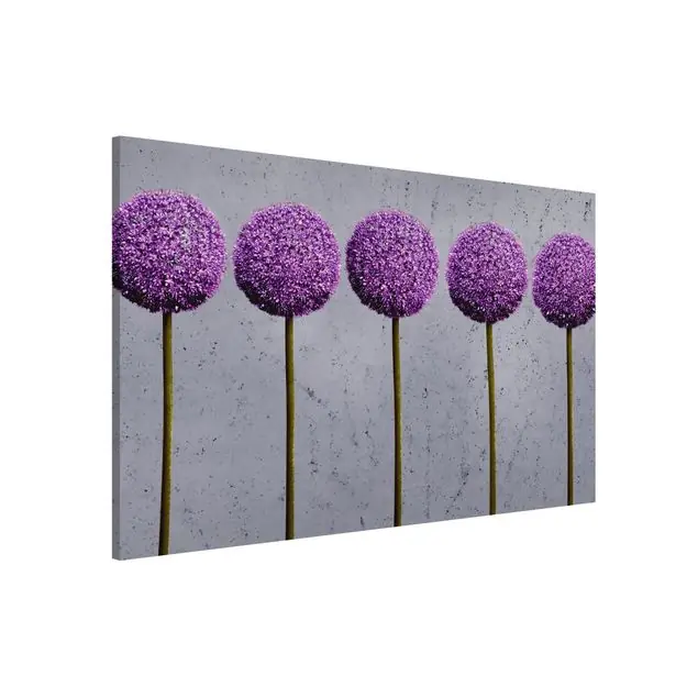 Allium Kugel-Blüten Top-Seller
