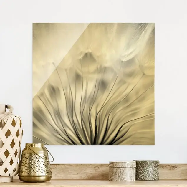 Traumhafte Pusteblume Schwarz-Weiß Neue Ware