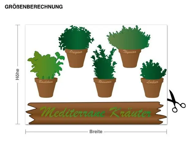 Neu Im Sortiment Kräuter Set Wandtattoo