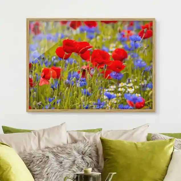 Sommerwiese mit Mohn und Kornblumen Preiswert
