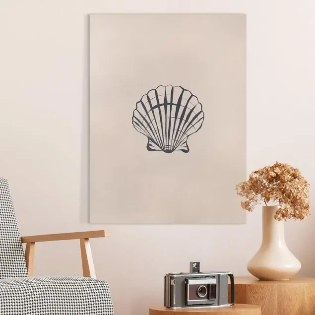 Muschel Skizze auf Beige Neue Kollektion