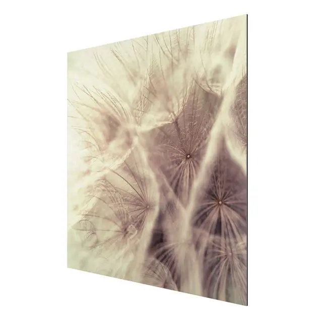 Detailreiche Pusteblumen Makroaufnahme mit Vintage Blur Effekt Sichere Zahlung