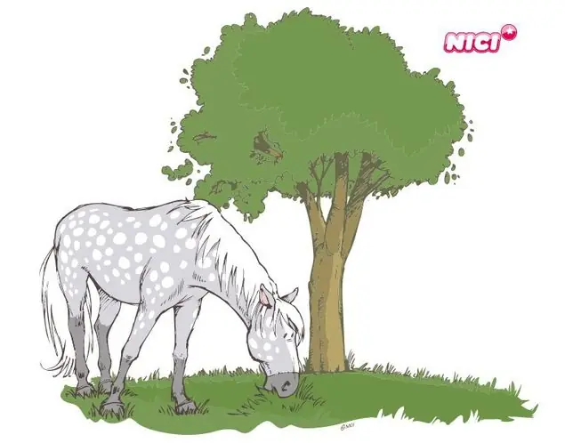 NICI - Horse Club Apfelschimmel grasend Wandtattoo Mega-Angebot