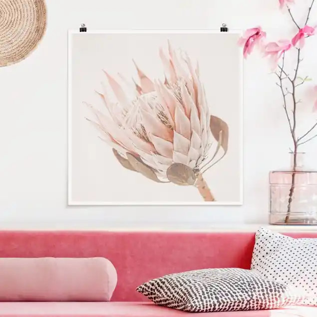 Protea Königin der Blüten Bestseller