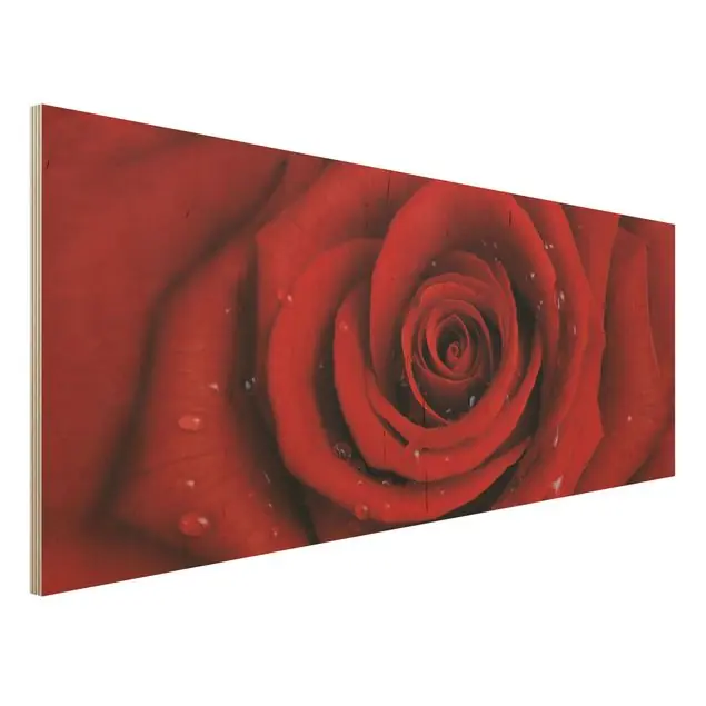 Rabatt Rote Rose mit Wassertropfen