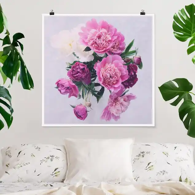 Pfingstrosen Shabby Rosa Weiß Letzte Chance