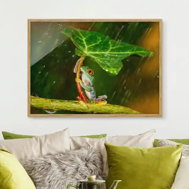 Ein Frosch im Regen Knallerangebot