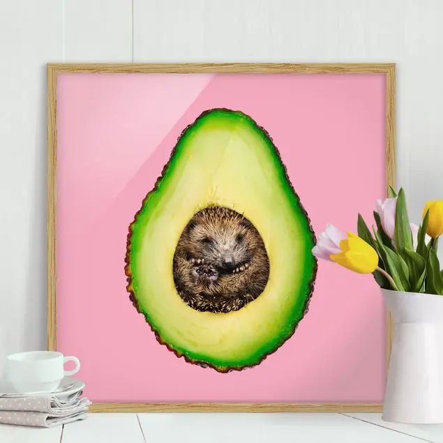 Avocado mit Igel Neu