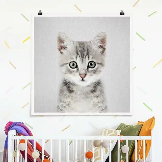 Baby Katze Killi Schnäppchen