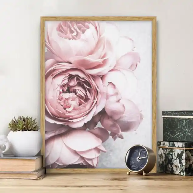 Garantierte Lieferung Rosa Pfingstrosenblüten Shabby Pastell