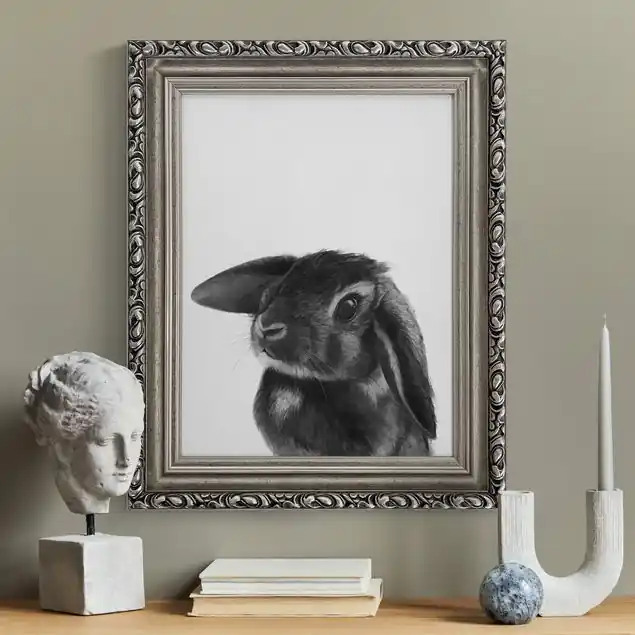 Neu Illustration Hase Schwarz Weiß Zeichnung
