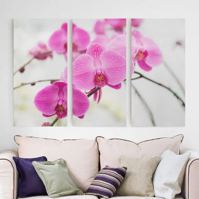 Nahaufnahme Orchidee Ausverkauf