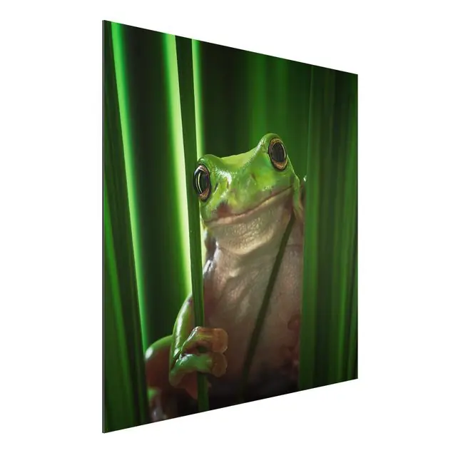 Fröhlicher Frosch Sonderaktion