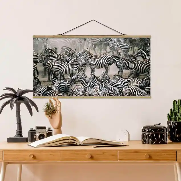 Saisonangebot Zebraherde