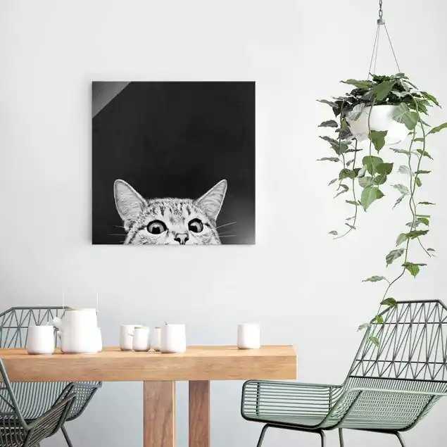Illustration Katze Schwarz Weiß Zeichnung Letzte Chance