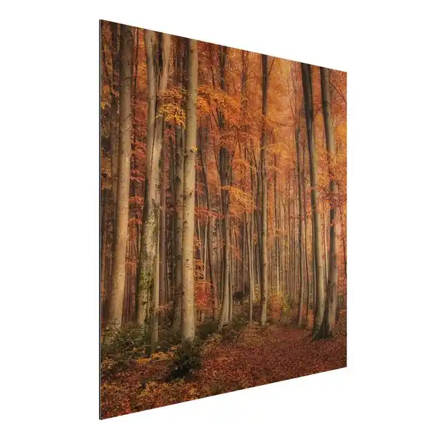 Saisonangebot Herbstspaziergang