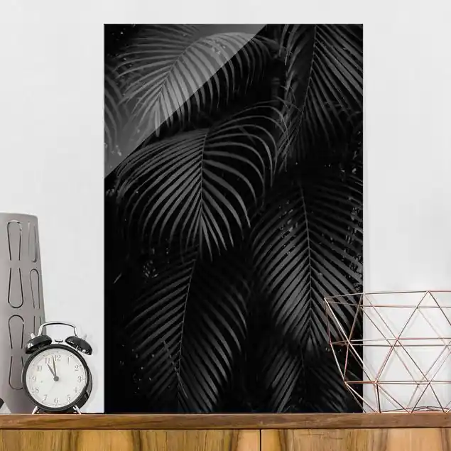 Schwarze Palmwedel Jetzt Bestellen
