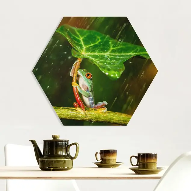 Beliebt Ein Frosch im Regen