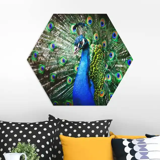 Kostenloser Rückversand Edler Pfau