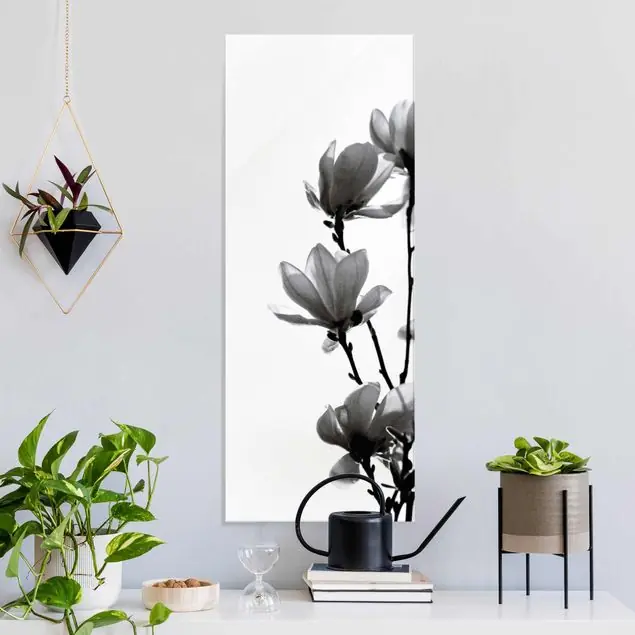 Schnäppchen Frühlingsbote Magnolie Schwarz Weiß
